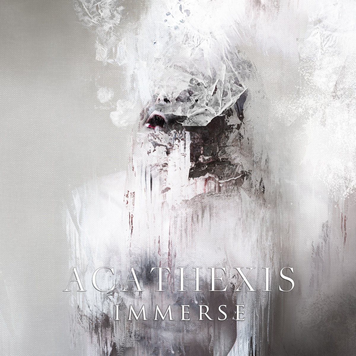 Immerse Cover