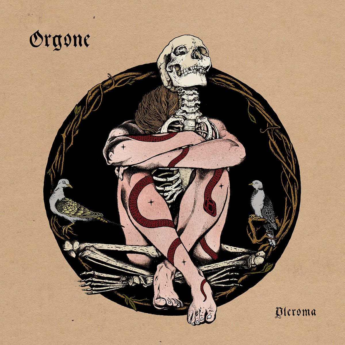 Pleroma Cover