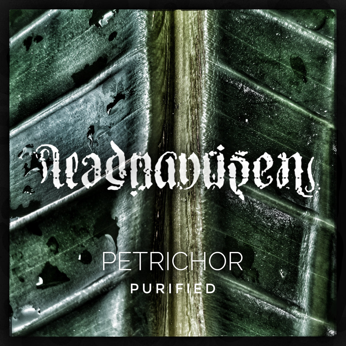 Petrichor Purified by Dead Man Risen