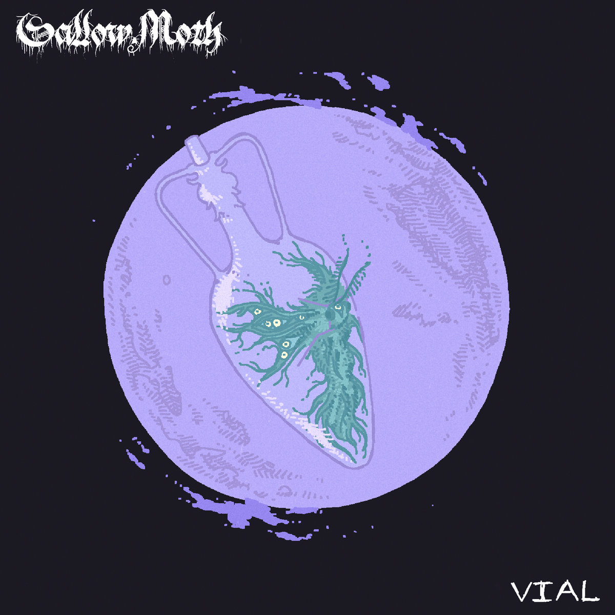 Vial by Sallow Moth